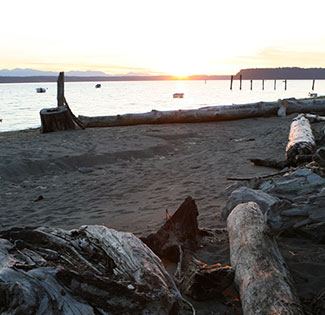 Photo of Tulalip Bay beach